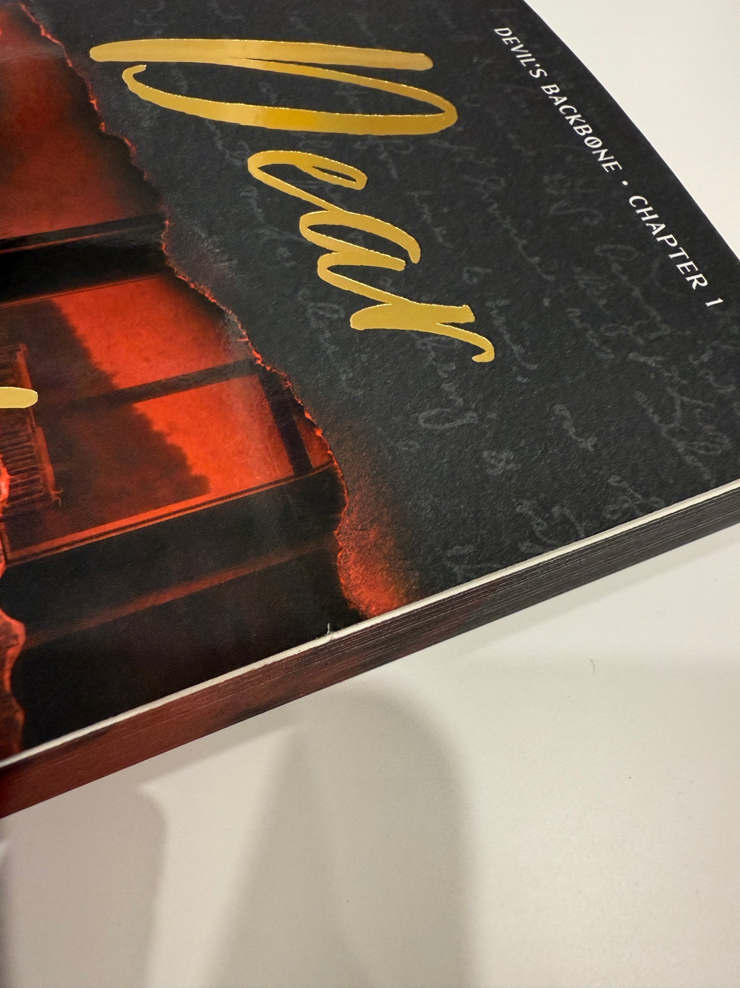 DAMAGED Dear Reader (Deluxe Edition) by Tate James