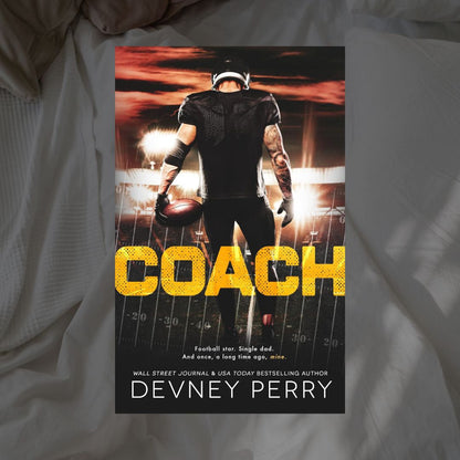 Treasure State Wildcats Series by Devney Perry