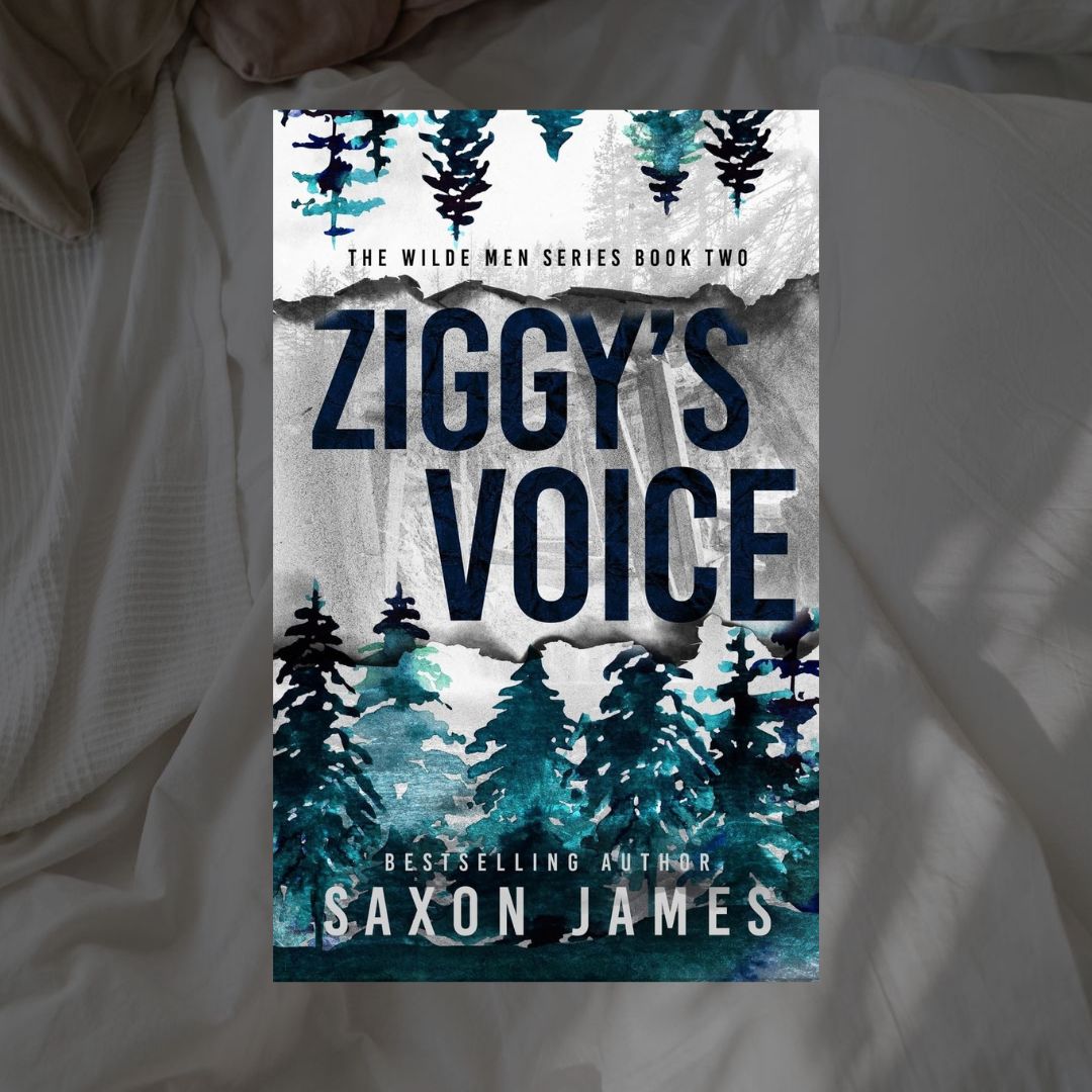 The Wilde Men Series by Saxon James