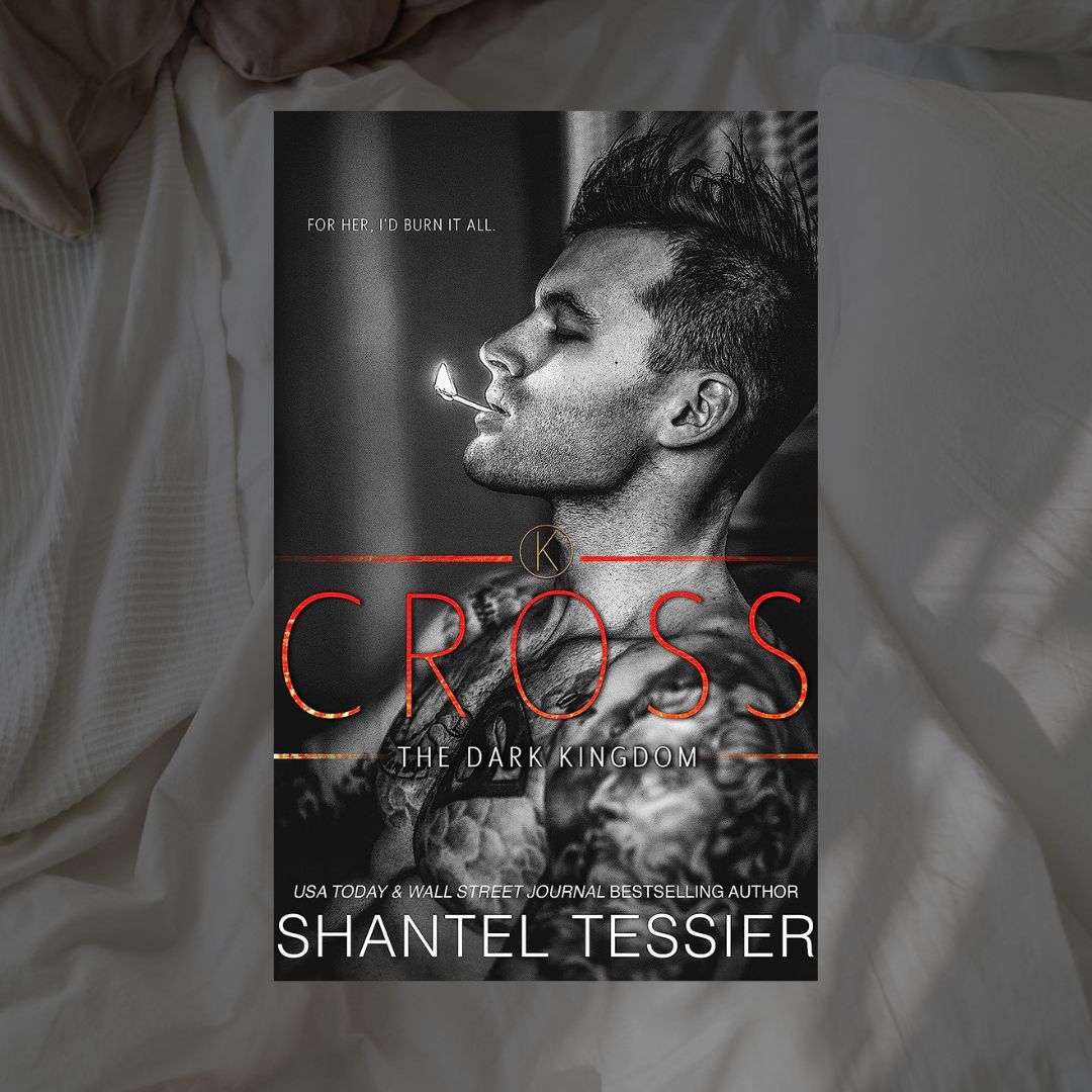 The Dark Kingdom Series by Shantel Tessier