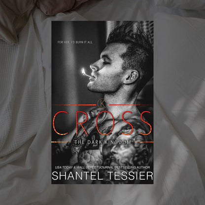 The Dark Kingdom Series by Shantel Tessier