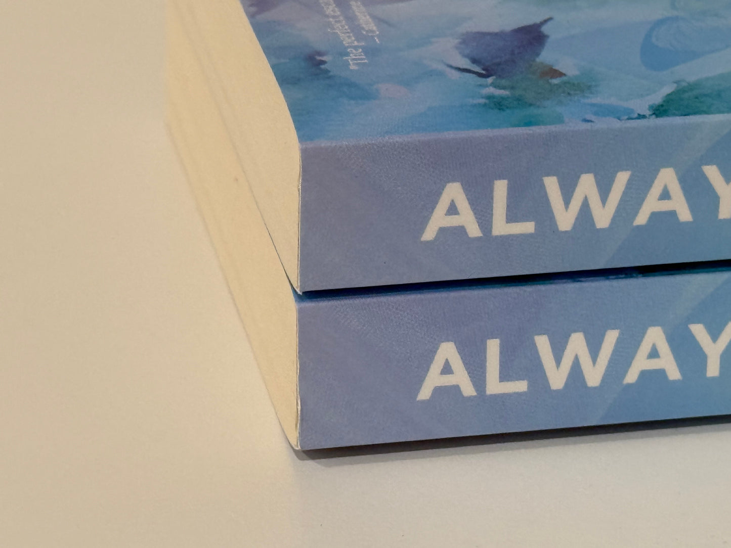 DAMAGED Always Mine by Laura Pavlov