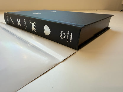 DAMAGED Lights Out (Hardcover Collector's Edition) by Navessa Allen