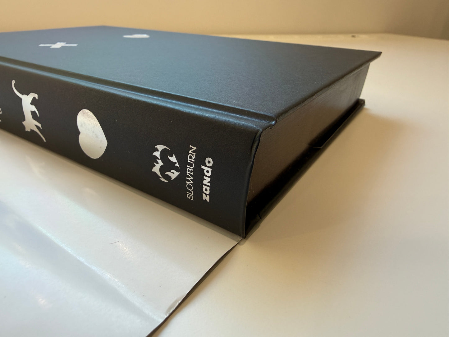 DAMAGED Lights Out (Hardcover Collector's Edition) by Navessa Allen